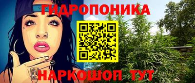 ECSTASY Кулебаки