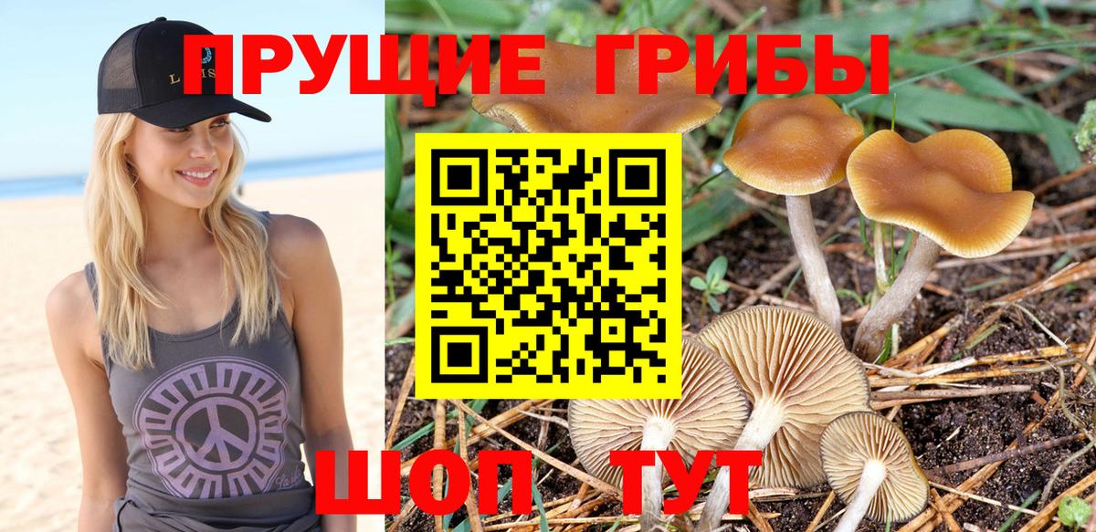 Псилоцибиновые грибы GOLDEN TEACHER  Вход с VPN  Железноводск 